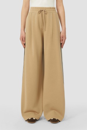 брюки  - женские брюки с лампасами 