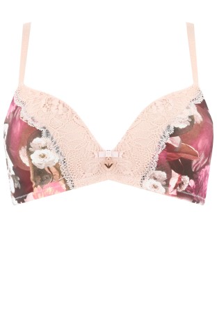 бюстгальтер  фотография