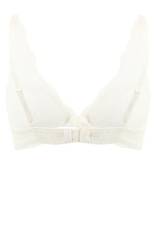 бюстгальтер  фотография