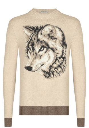 джемпер  фотография