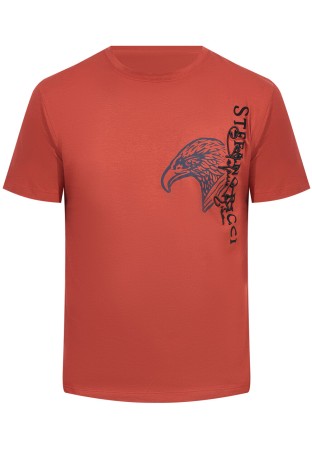 футболка  - мужская одежда оранжевая 