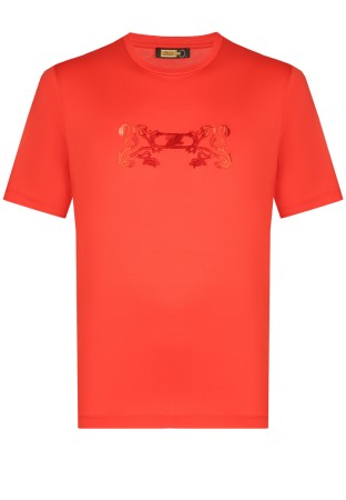 футболка  - мужская одежда оранжевая 