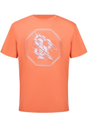 футболка  - мужская одежда оранжевая 
