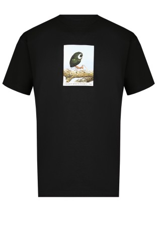 футболка  - мужские футболки черные 