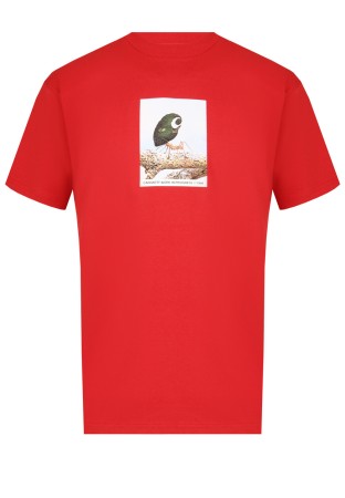 футболка  фотография