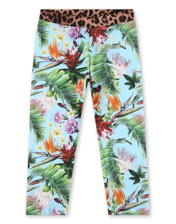 леггинсы  фотография