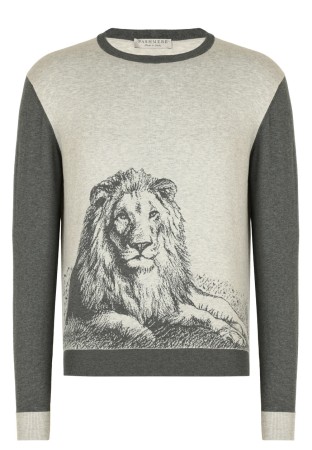 лонгслив  фотография