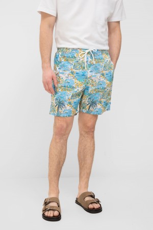 плавки  - мужская пляжная одежда paul&shark 