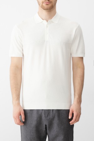 поло  фотография