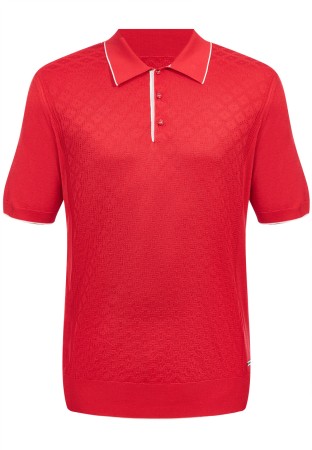 поло  фотография