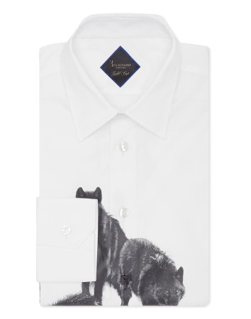 рубашка  фотография