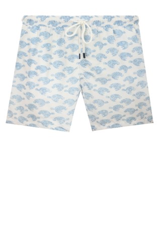 шорты  фотография