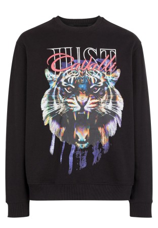 свитшот  фотография