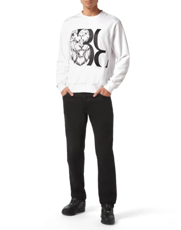 толстовка  фотография