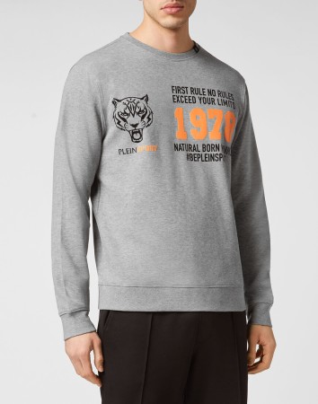 толстовка  - мужские толстовки и свитшоты серые 