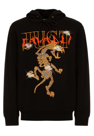 толстовка  фотография