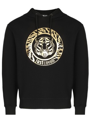 толстовка  фотография