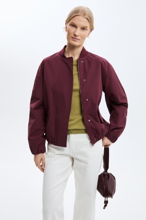 бомбер фотография