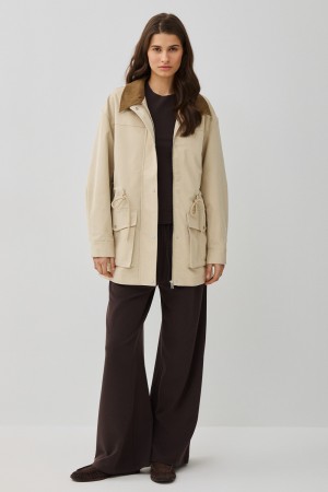 парка фотография