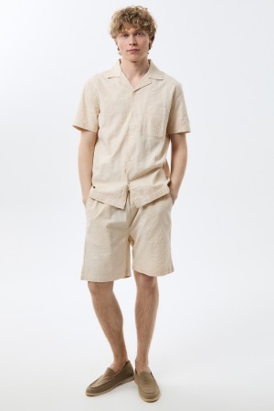 рубашка из хлопка фотография