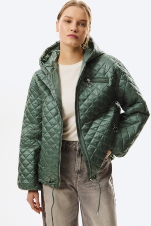 стеганая куртка с капюшоном фотография