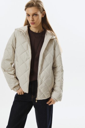 стеганая куртка с капюшоном фотография