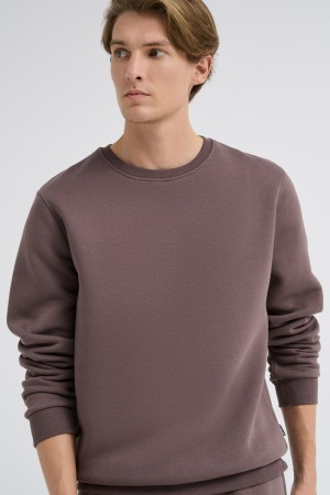 толстовка фотография