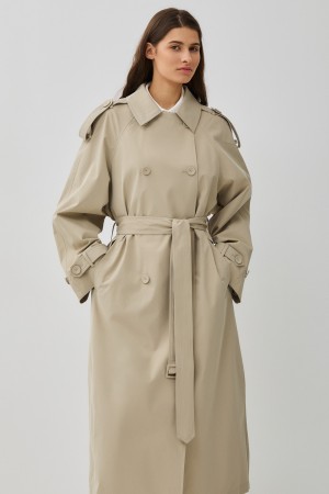 тренч фотография