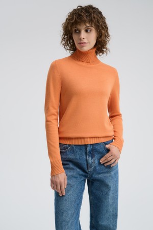 водолазка - женские джемперы, свитеры и кардиганы из полиэстера 