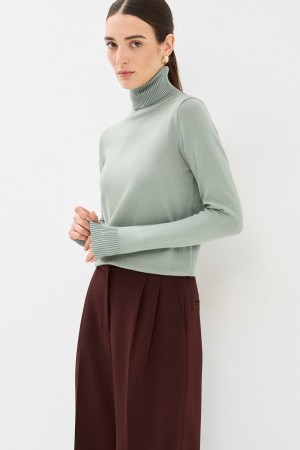 водолазка - женская одежда