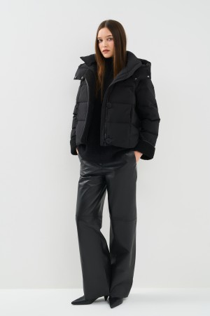 зимняя куртка с капюшоном фотография