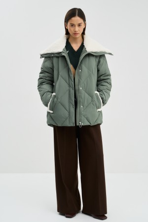 зимняя куртка с меховой отделкой фотография