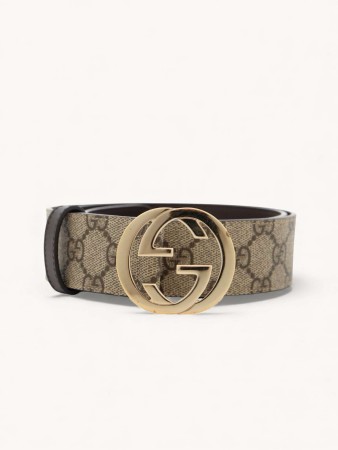 belt фотография