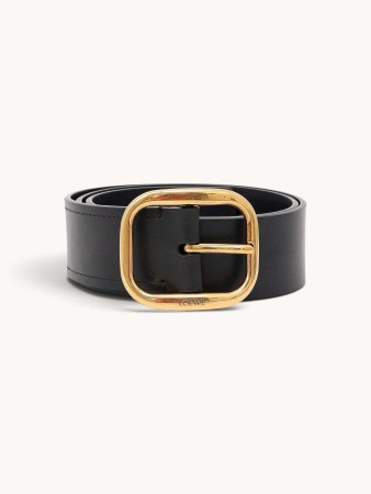 belt - женские аксессуары
