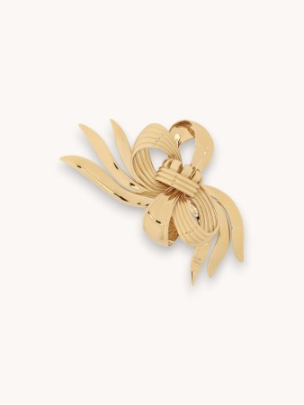brooch фотография