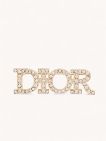 brooch фотография