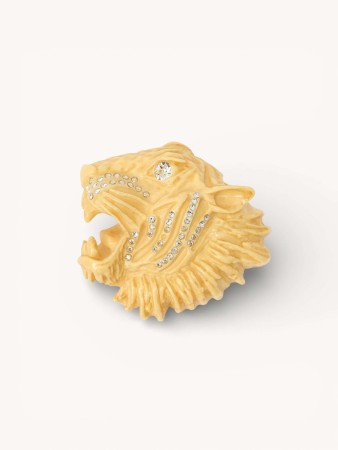 brooch фотография