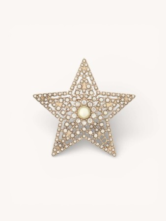 brooch фотография