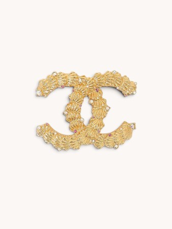 brooch фотография