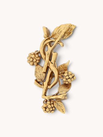brooch фотография