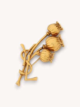 brooch фотография