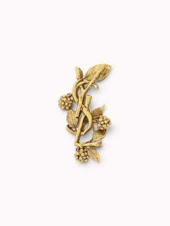 brooch фотография