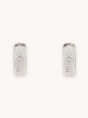 earrings фотография