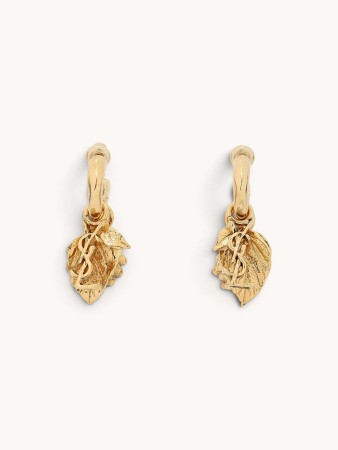 earrings фотография