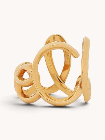 ring фотография