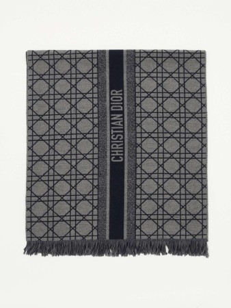 scarf - женские аксессуары dior 