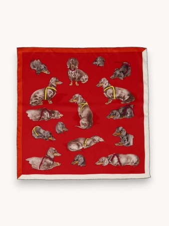scarf - аксессуары женские 