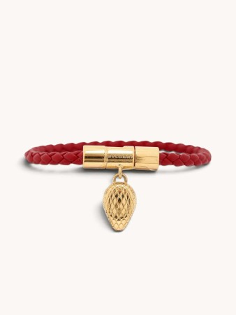 serpenti фотография