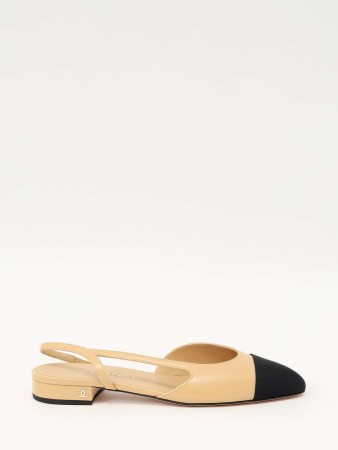 shoes фотография