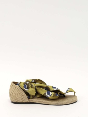 shoes фотография
